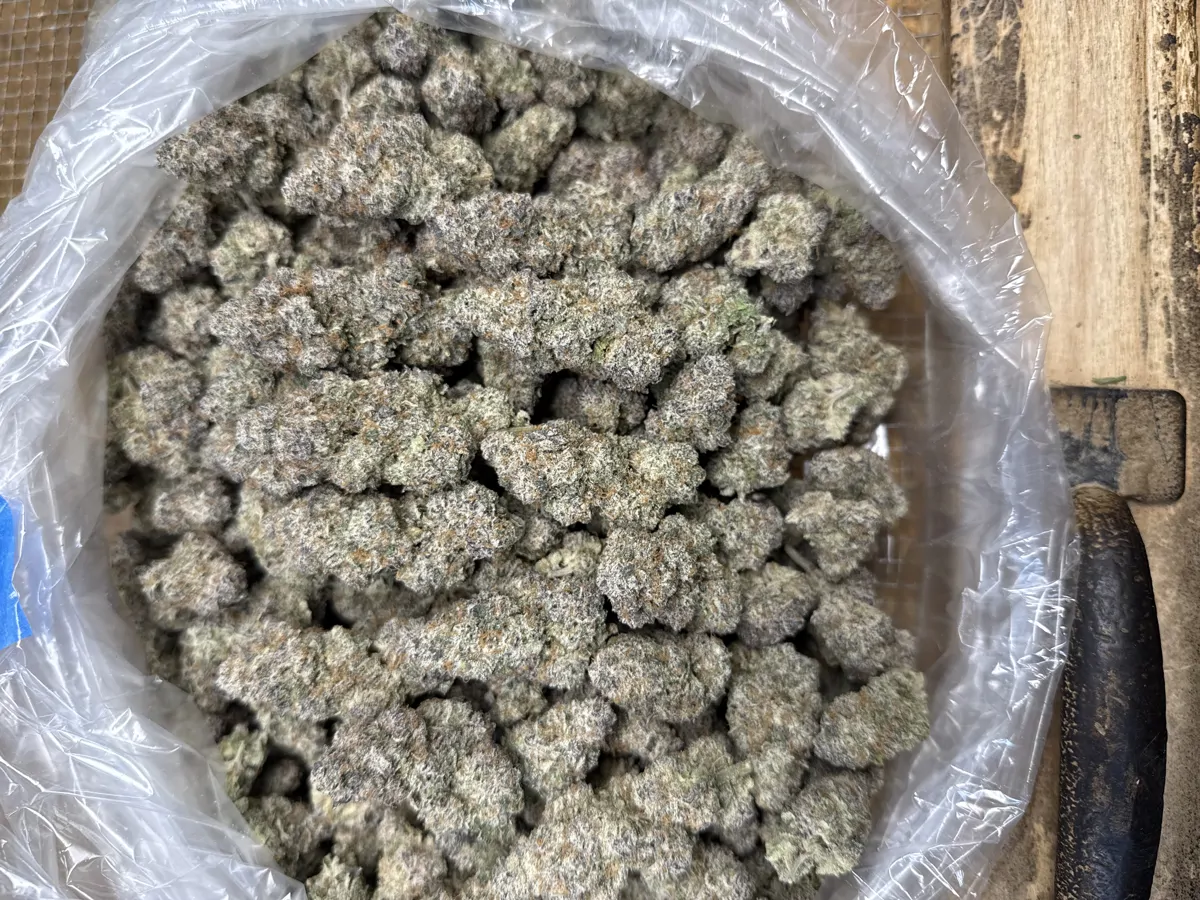 Black Cherry Runtz Flower